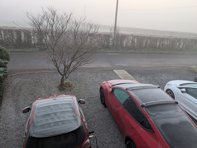 PXL_20251231_083236494