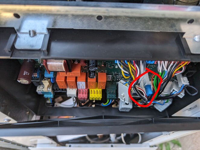 PXL_20240501_115600028~2