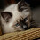 Vitaliy_6